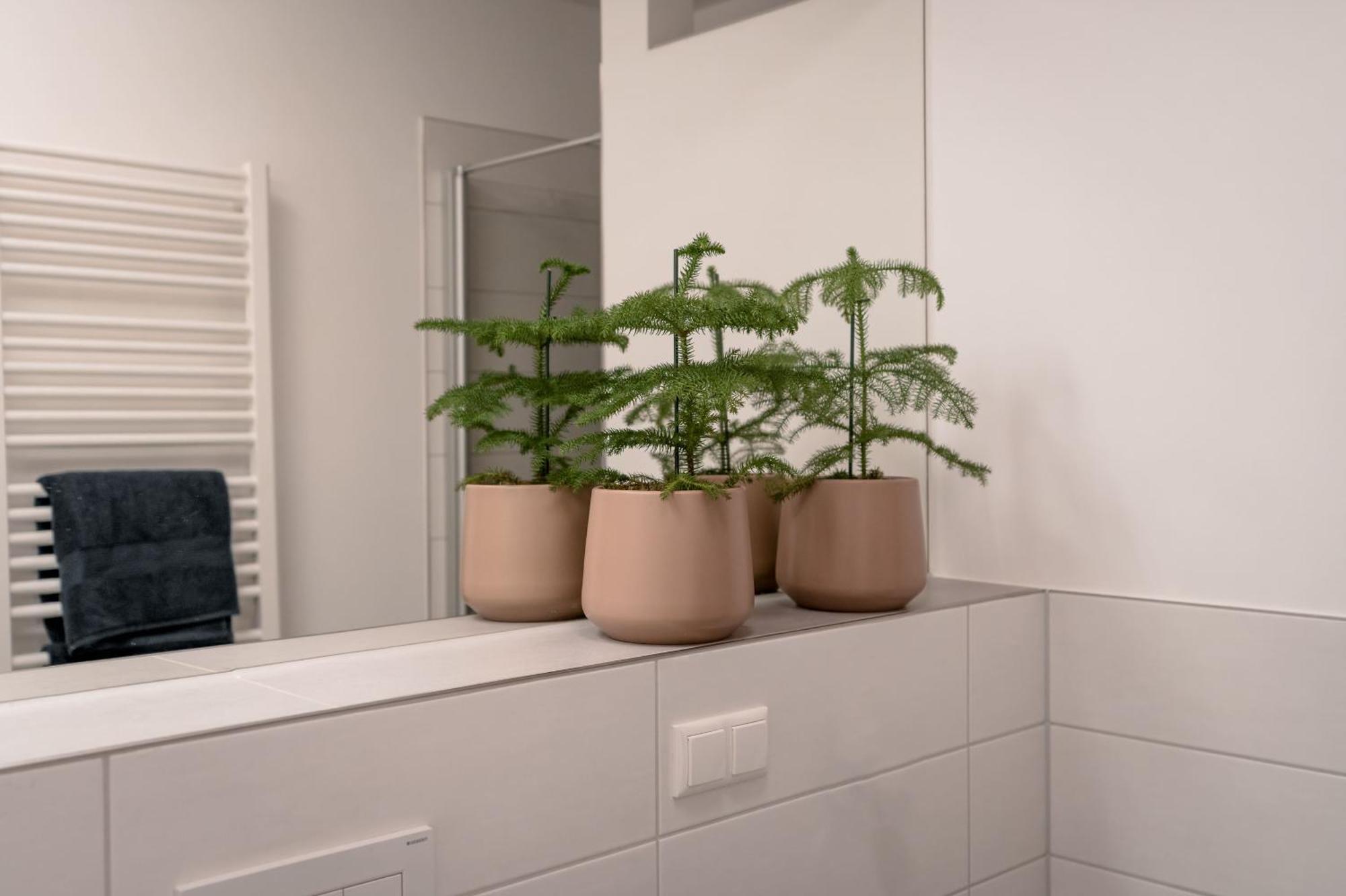 Ferienwohnung Altstadt Regensburg Luaran gambar
